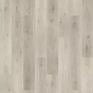 Sunshower Oak